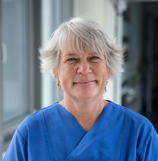 Porträtbild von Chefärztin Dipl.-Med. Sybille Glöckl (Foto: Oberhavel Kliniken/C. Libuda)